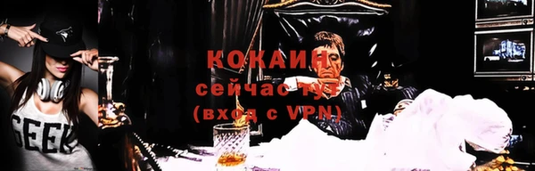 МДПВ Горно-Алтайск